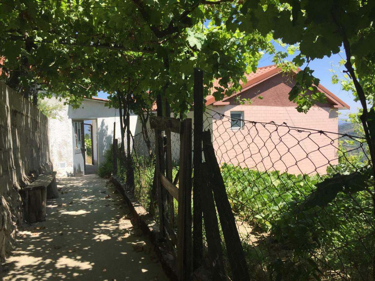 Alojamento Da Ribeirinha Carquere Esterno foto